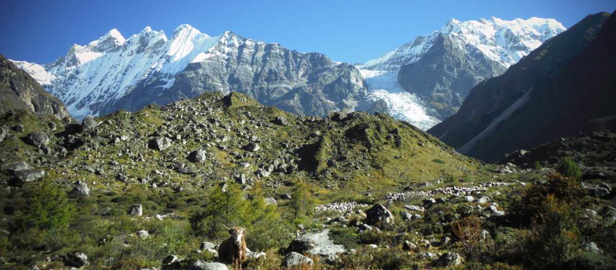 What is life about at above 4000 m in the Himalayas, Nepal?