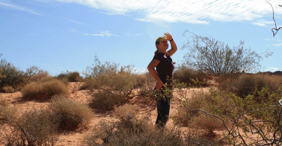 10 insights I gained from zigzag-ing the world